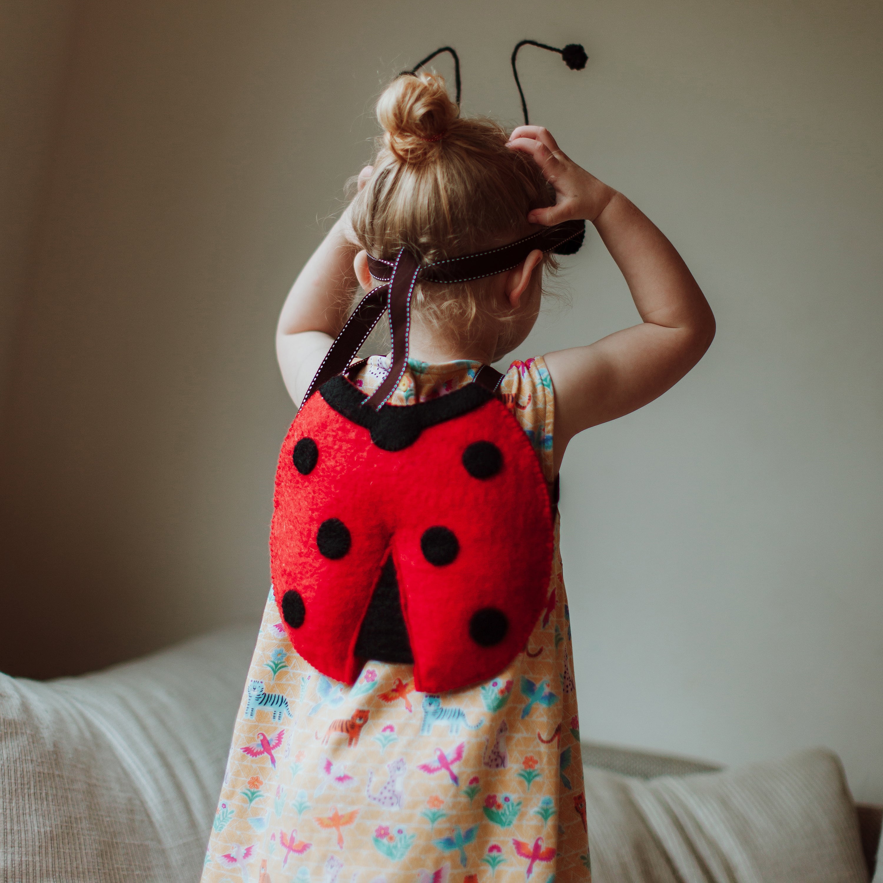 Louise Ladybird Dress Up Sew Heart Felt