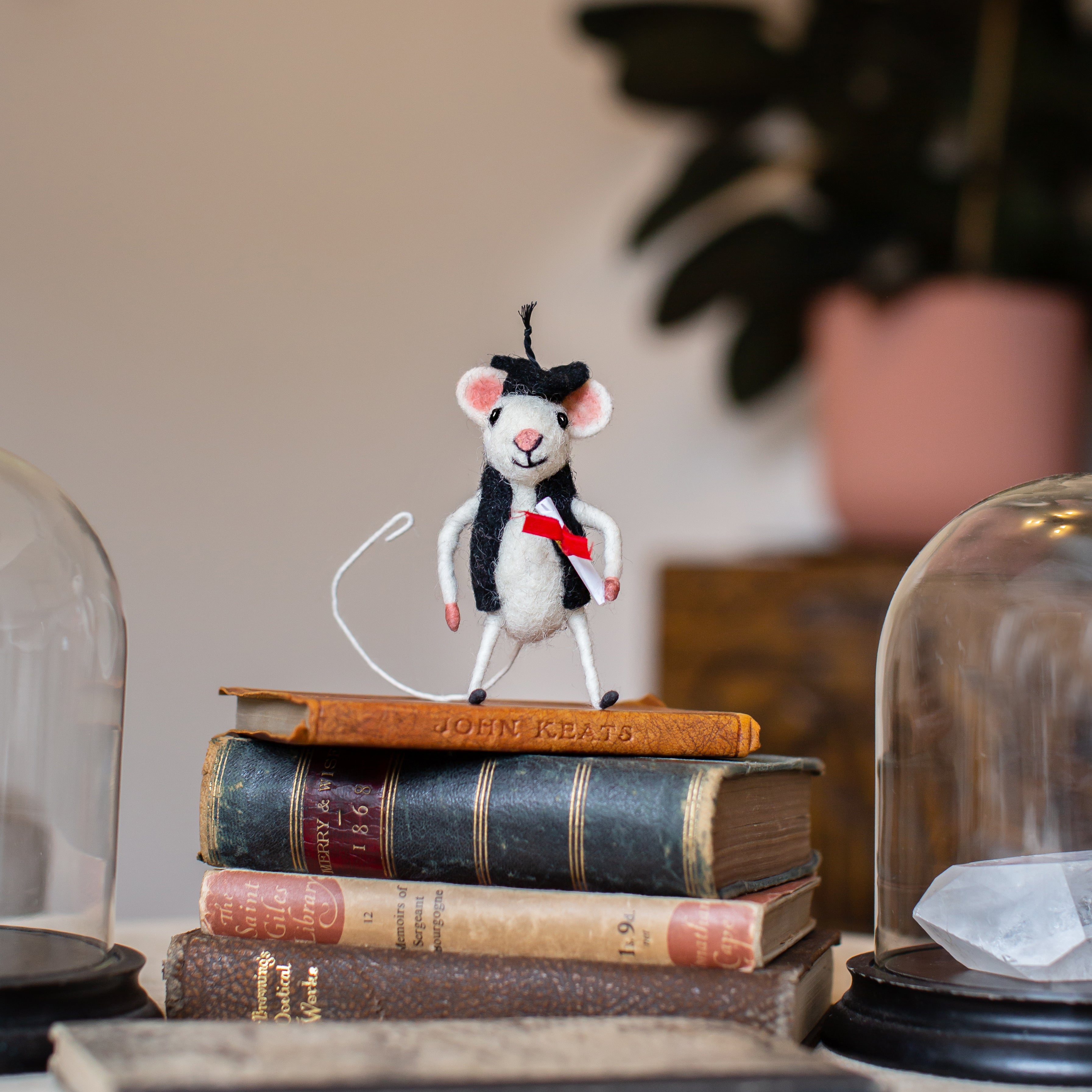 Needle Felted Handmade Unique Mouse/Mice discount Graduation Diploma